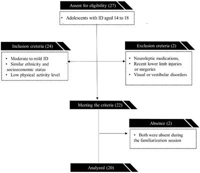 The influence of cognitive load and vision variability on postural balance in adolescents with intellectual disabilities